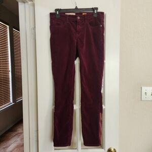 Pilcro STET Corduroy Pants Burgundy Ankle Zip Mid Rise Size 28 Anthropologie